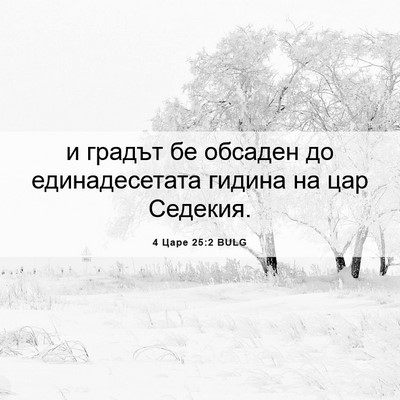 Picture 06 - 4 Царе 25:2 BULG - и градът бе обсаден до - Bible Verse Picture