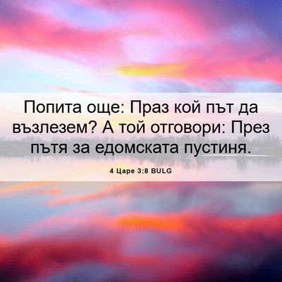Picture 06 - 4 Царе 3:8 BULG - Попита още: Праз кой път да - Bible Verse Picture
