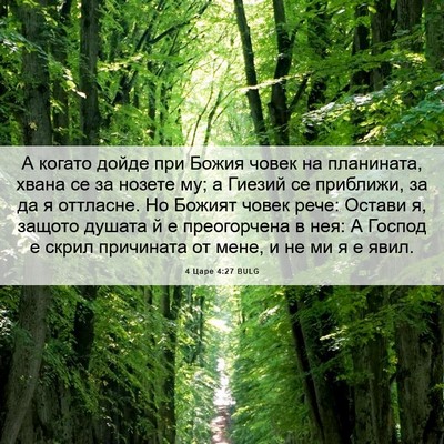 Picture 06 - 4 Царе 4:27 BULG - А когато дойде при Божия - Bible Verse Picture