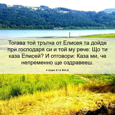 Picture 06 - 4 Царе 8:14 BULG - Тогава той тръгна от - Bible Verse Picture