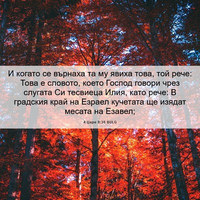 Picture 06 - 4 Царе 9:36 BULG - И когато се върнаха та му - Bible Verse Picture