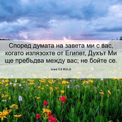 Picture 06 - Агей 2:5 BULG - Според думата на завета ми - Bible Verse Picture