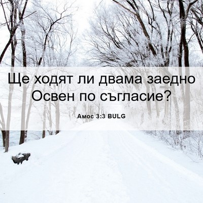 Picture 06 - Амос 3:3 BULG - Ще ходят ли двама заедно - Bible Verse Picture
