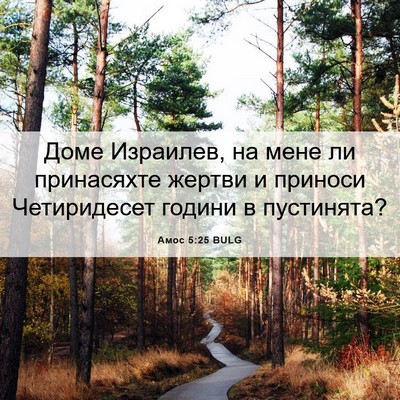 Picture 06 - Амос 5:25 BULG - Доме Израилев, на мене ли - Bible Verse Picture