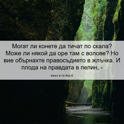 Picture 06 - Амос 6:12 BULG - Могат ли конете да тичат по - Bible Verse Picture