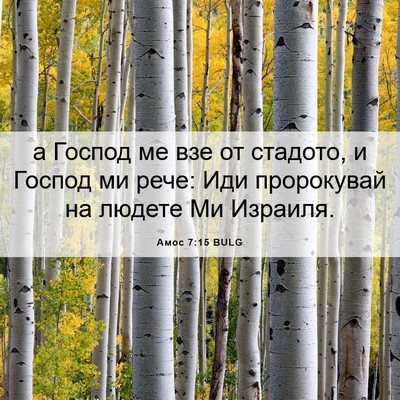 Picture 06 - Амос 7:15 BULG - а Господ ме взе от стадото, - Bible Verse Picture