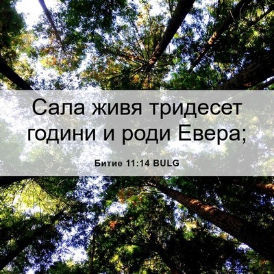 Picture 06 - Битие 11:14 BULG - Сала живя тридесет години - Bible Verse Picture