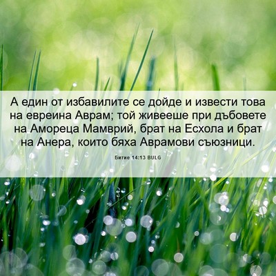 Picture 06 - Битие 14:13 BULG - А един от избавилите се - Bible Verse Picture