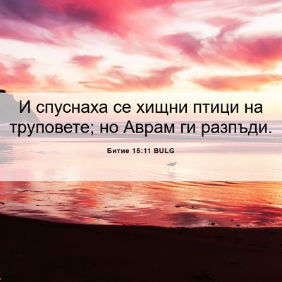 Picture 06 - Битие 15:11 BULG - И спуснаха се хищни птици - Bible Verse Picture