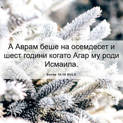 Picture 06 - Битие 16:16 BULG - А Аврам беше на осемдесет и - Bible Verse Picture