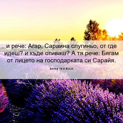 Picture 06 - Битие 16:8 BULG - и рече: Агар, Сараина - Bible Verse Picture