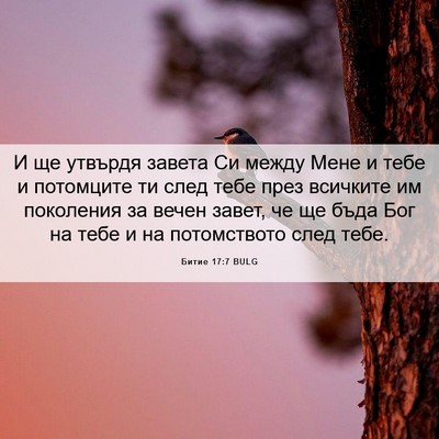 Picture 06 - Битие 17:7 BULG - И ще утвърдя завета Си - Bible Verse Picture