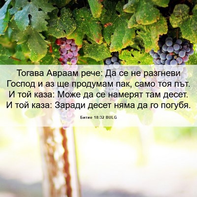 Picture 06 - Битие 18:32 BULG - Тогава Авраам рече: Да се - Bible Verse Picture