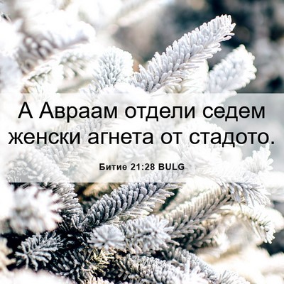 Picture 06 - Битие 21:28 BULG - А Авраам отдели седем - Bible Verse Picture