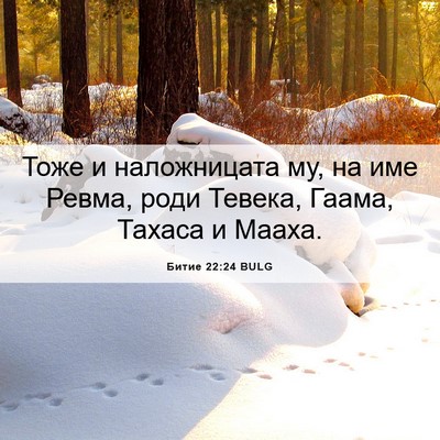 Picture 06 - Битие 22:24 BULG - Тоже и наложницата му, на - Bible Verse Picture