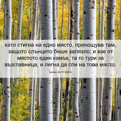 Picture 06 - Битие 28:11 BULG - като стигна на едно място, - Bible Verse Picture