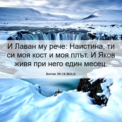 Picture 06 - Битие 29:14 BULG - И Лаван му рече: Наистина, - Bible Verse Picture
