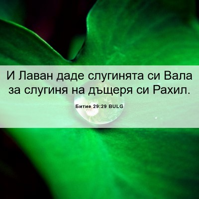 Picture 06 - Битие 29:29 BULG - И Лаван даде слугинята си - Bible Verse Picture