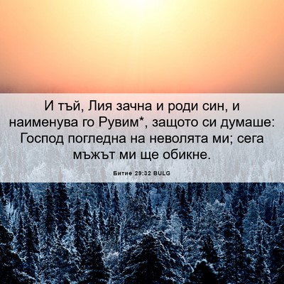 Picture 06 - Битие 29:32 BULG - И тъй, Лия зачна и роди син, - Bible Verse Picture