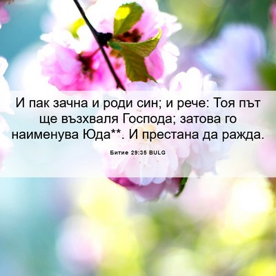 Picture 06 - Битие 29:35 BULG - И пак зачна и роди син; и - Bible Verse Picture