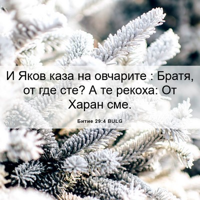 Picture 06 - Битие 29:4 BULG - И Яков каза на овчарите : - Bible Verse Picture