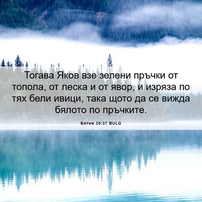 Picture 06 - Битие 30:37 BULG - Тогава Яков взе зелени - Bible Verse Picture