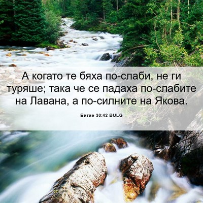 Picture 06 - Битие 30:42 BULG - А когато те бяха по-слаби, - Bible Verse Picture