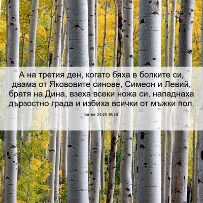 Picture 06 - Битие 34:25 BULG - А на третия ден, когато - Bible Verse Picture