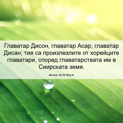 Picture 06 - Битие 36:30 BULG - Главатар Дисон, главатар - Bible Verse Picture
