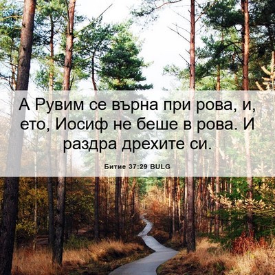 Picture 06 - Битие 37:29 BULG - А Рувим се върна при рова, - Bible Verse Picture