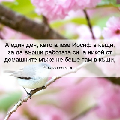 Picture 06 - Битие 39:11 BULG - А един ден, като влезе - Bible Verse Picture
