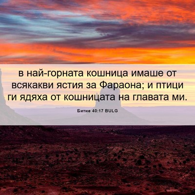 Picture 06 - Битие 40:17 BULG - в най-горната кошница - Bible Verse Picture