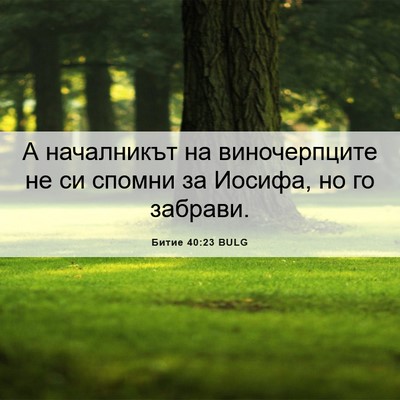 Picture 06 - Битие 40:23 BULG - А началникът на - Bible Verse Picture