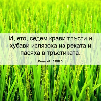 Picture 06 - Битие 41:18 BULG - И, ето, седем крави тлъсти и - Bible Verse Picture