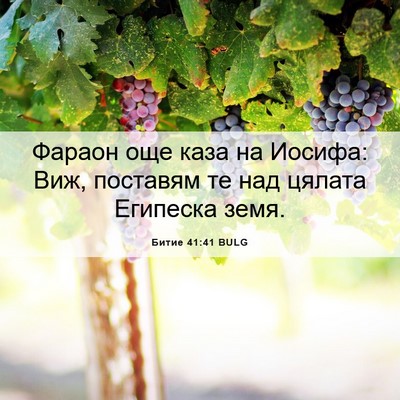 Picture 06 - Битие 41:41 BULG - Фараон още каза на Иосифа: - Bible Verse Picture