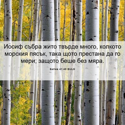 Picture 06 - Битие 41:49 BULG - Иосиф събра жито твърде - Bible Verse Picture