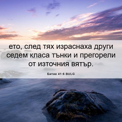 Picture 06 - Битие 41:6 BULG - ето, след тях израснаха - Bible Verse Picture