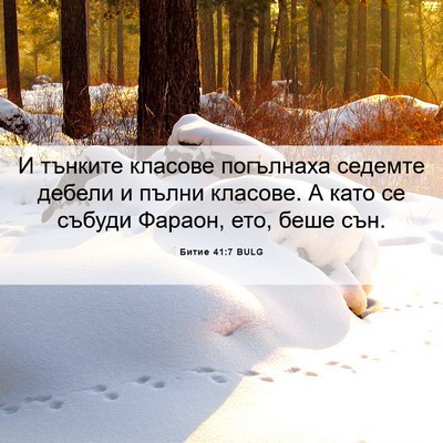 Picture 06 - Битие 41:7 BULG - И тънките класове - Bible Verse Picture