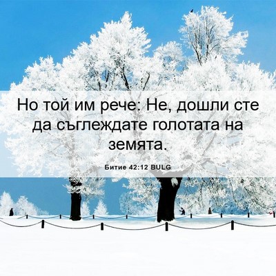 Picture 06 - Битие 42:12 BULG - Но той им рече: Не, дошли - Bible Verse Picture