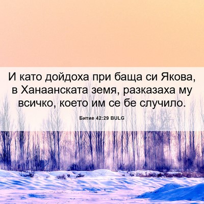 Picture 06 - Битие 42:29 BULG - И като дойдоха при баща си - Bible Verse Picture