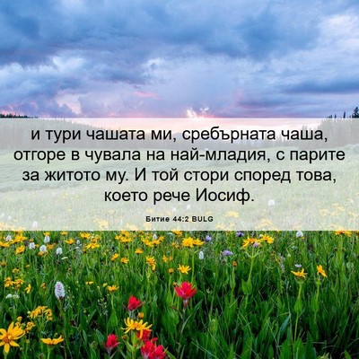 Picture 06 - Битие 44:2 BULG - и тури чашата ми, - Bible Verse Picture