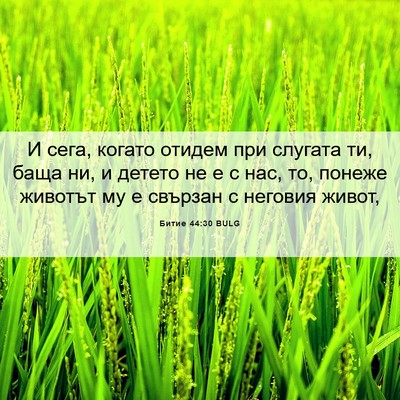 Picture 06 - Битие 44:30 BULG - И сега, когато отидем при - Bible Verse Picture