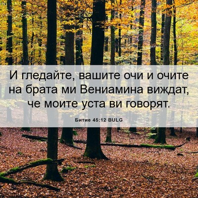 Picture 06 - Битие 45:12 BULG - И гледайте, вашите очи и - Bible Verse Picture