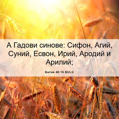 Picture 06 - Битие 46:16 BULG - А Гадови синове: Сифон, - Bible Verse Picture