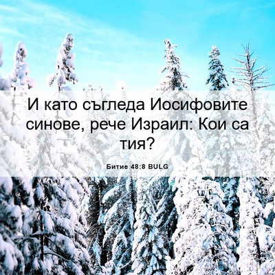 Picture 06 - Битие 48:8 BULG - И като съгледа Иосифовите - Bible Verse Picture
