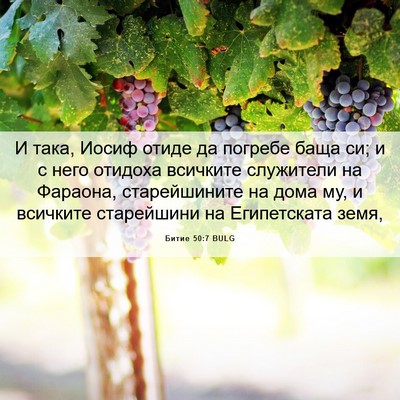 Picture 06 - Битие 50:7 BULG - И така, Иосиф отиде да - Bible Verse Picture