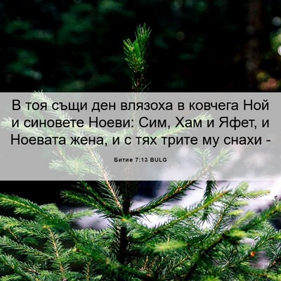 Picture 06 - Битие 7:13 BULG - В тоя същи ден влязоха в - Bible Verse Picture