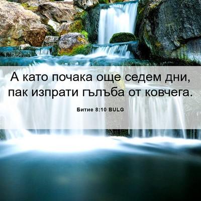 Picture 06 - Битие 8:10 BULG - А като почака още седем - Bible Verse Picture