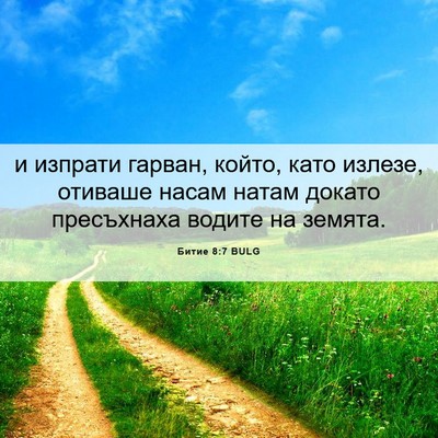Picture 06 - Битие 8:7 BULG - и изпрати гарван, който, - Bible Verse Picture