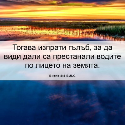 Picture 06 - Битие 8:8 BULG - Тогава изпрати гълъб, за да - Bible Verse Picture